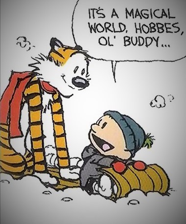 calvin-and-hobbes